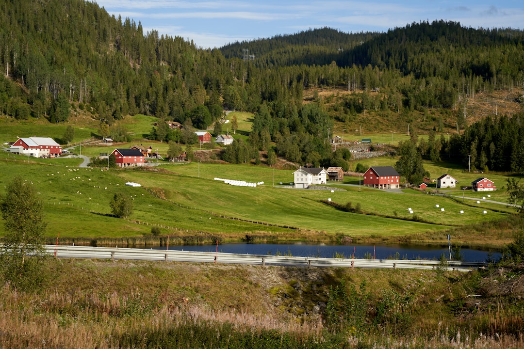 Exploring Environmental Challenges and Solutions in Scandinavia